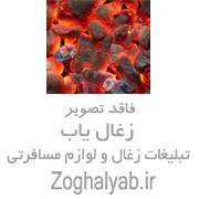 فروشنده فروش زغال کبابی عمده و خورده