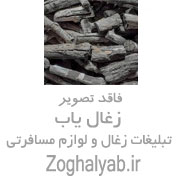 فروشنده تولیدی زغال 