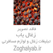فروشنده زغال چینی برشی رامسس